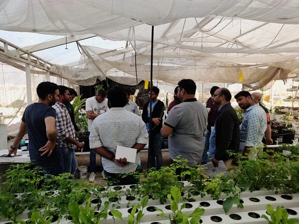 hydroponics & aquaponics training classes in india